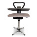 Speedypress SteamRise 8000 Heavy Duty Steam Ironing Press With Stand 